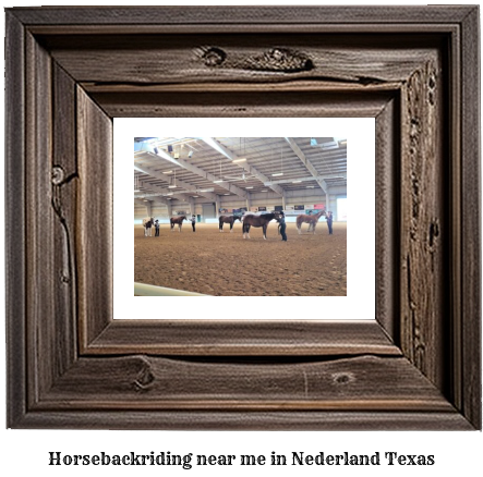 horseback riding near me in Nederland, Texas